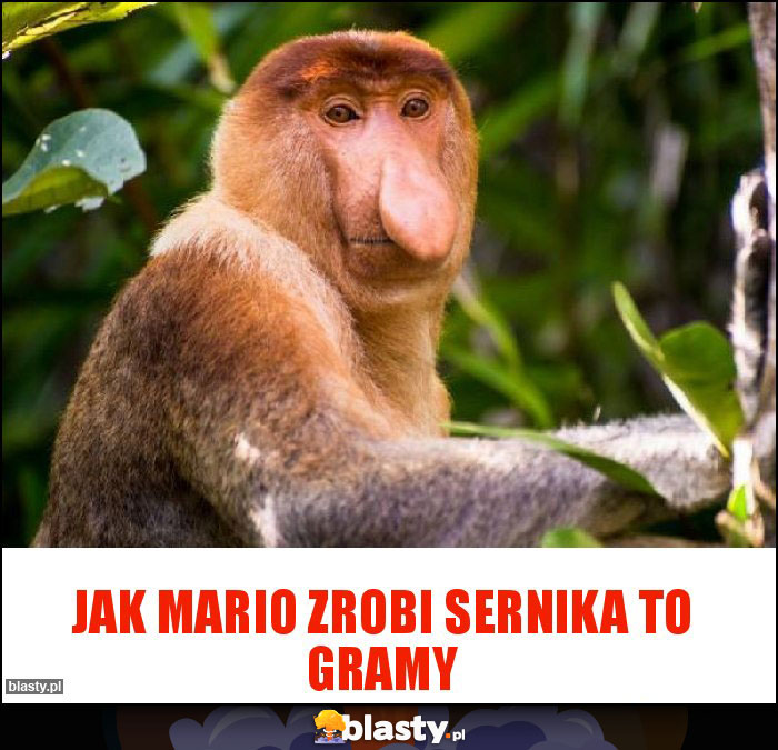 JAK MARIO ZROBI SERNIKA TO GRAMY