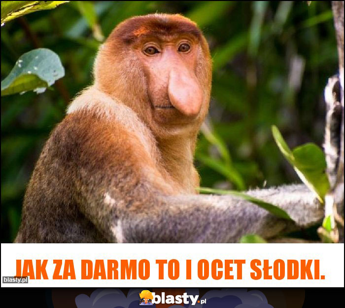 Jak za darmo to i ocet słodki.