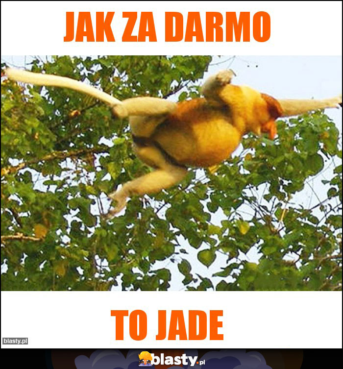 Jak za darmo