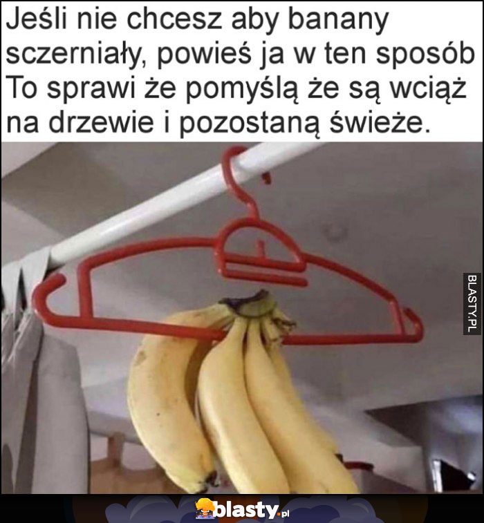 Jeśli nie chcesz aby banany sczerniały, powieś je w ten sposób, to sprawi że pomyślą, że są wciąż na drzewie i pozostaną świeże