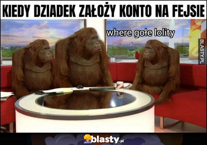 Kiedy dziadek założy konto na fejsie małpy goryle szympansy where gołe lolity