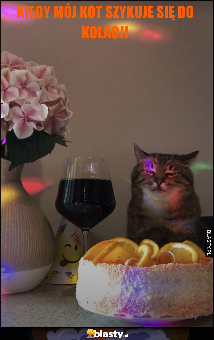 Kiedy mój kot szykuje się do kolacji