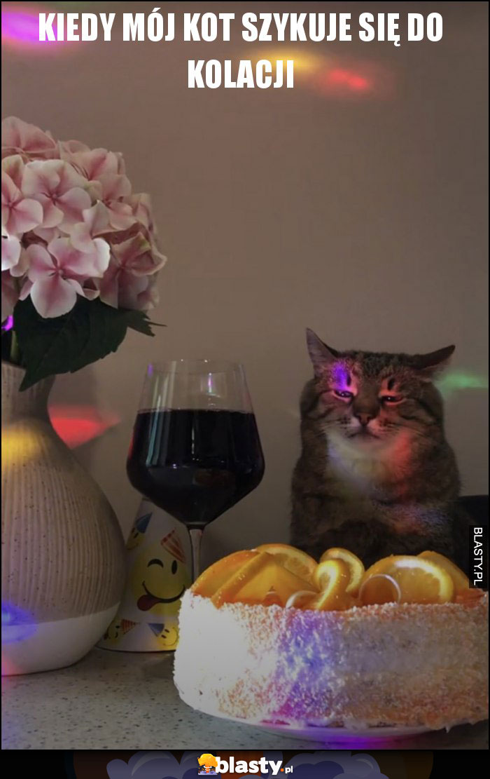 Kiedy mój kot szykuje się do kolacji