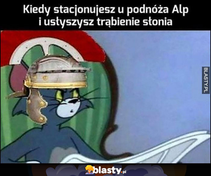 Kiedy stacjonujesz u podnóża Alp i usłyszysz trąbienie słonia zdziwiony Tom i Jerry