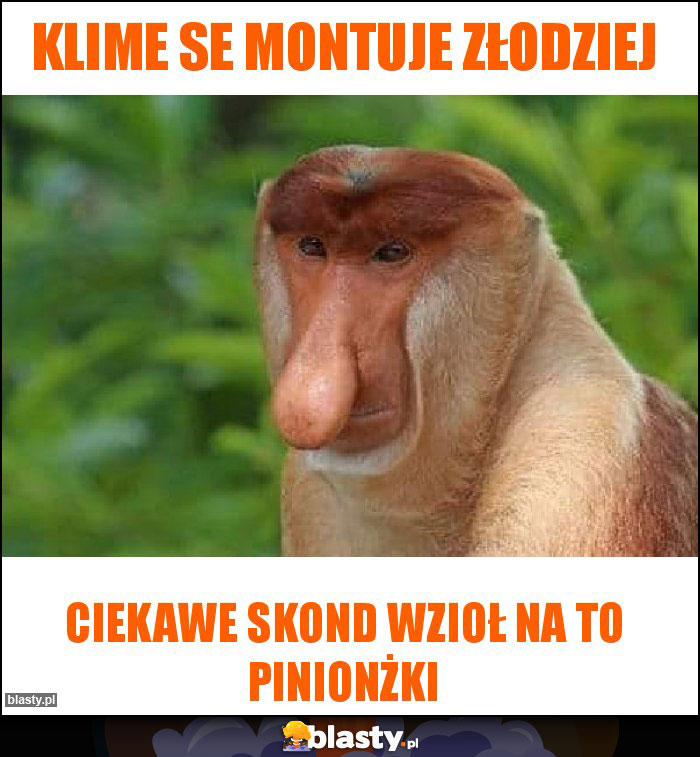 Klime se montuje złodziej