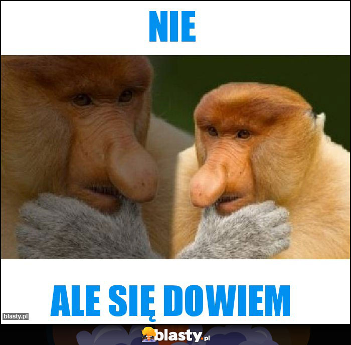 Nie