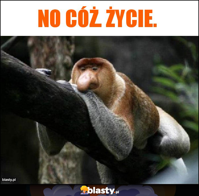 No cóż. Życie.