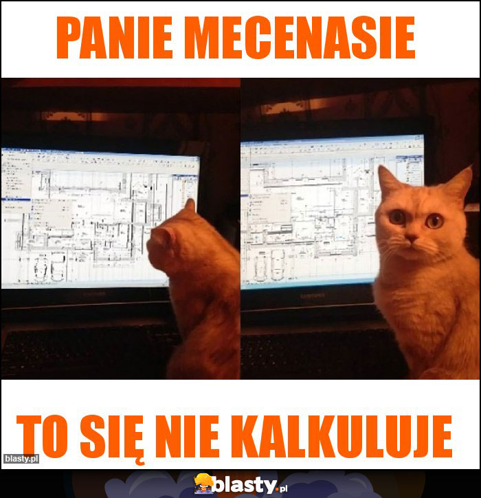 Panie Mecenasie