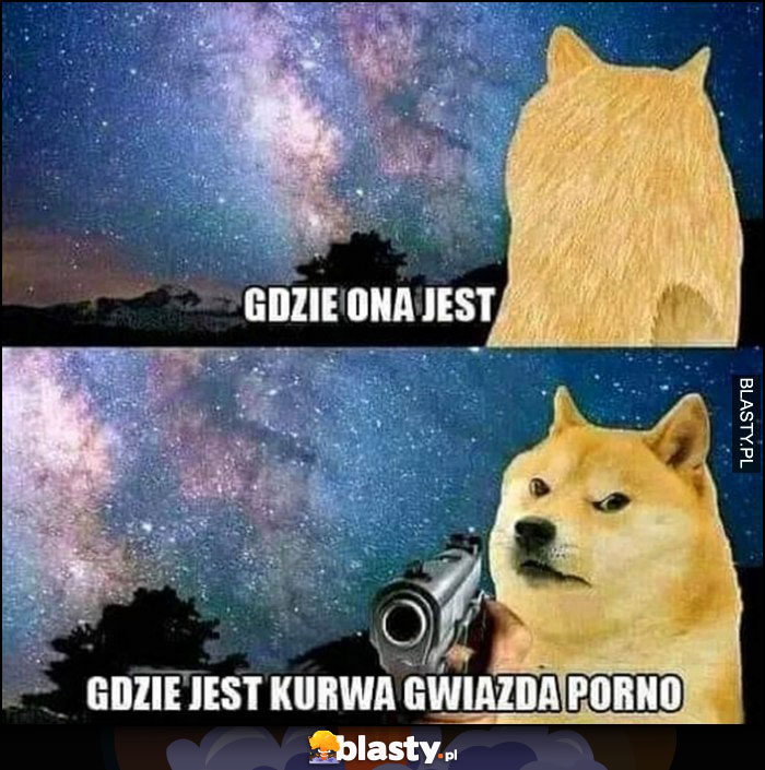 Pieseł doge gdzie ona jest gdzie jest gwiazda filmów dla dorosłych na niebie