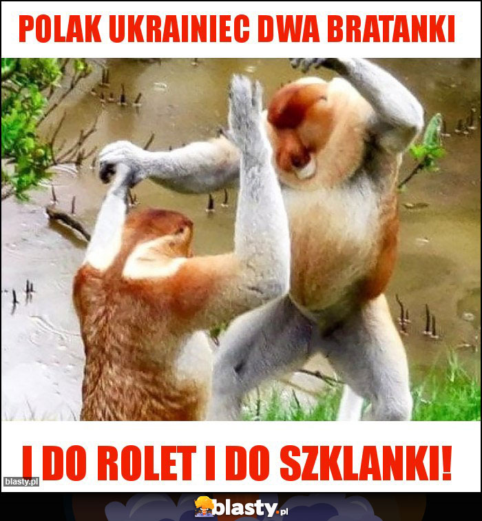 Polak Ukrainiec dwa bratanki
