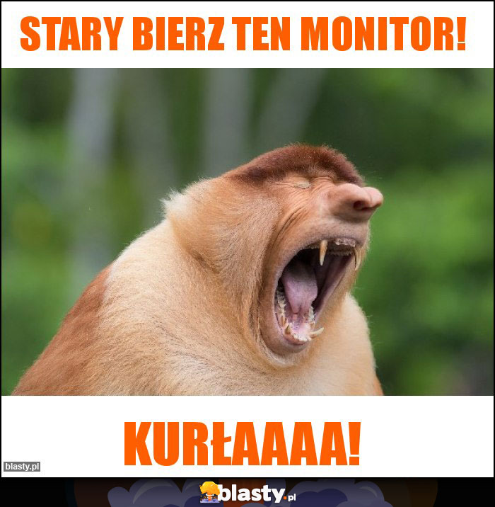 Stary bierz ten monitor!