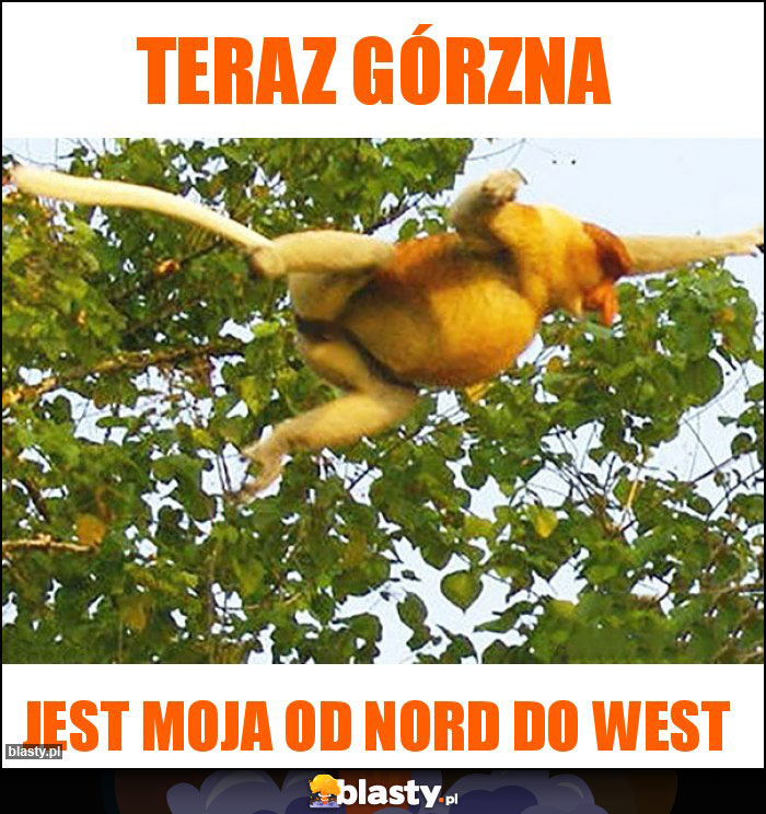 Teraz Górzna