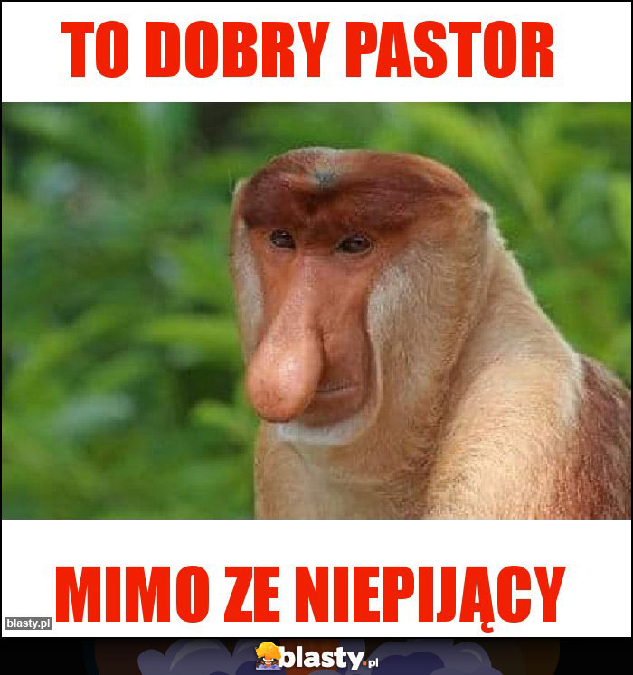 To dobry pastor