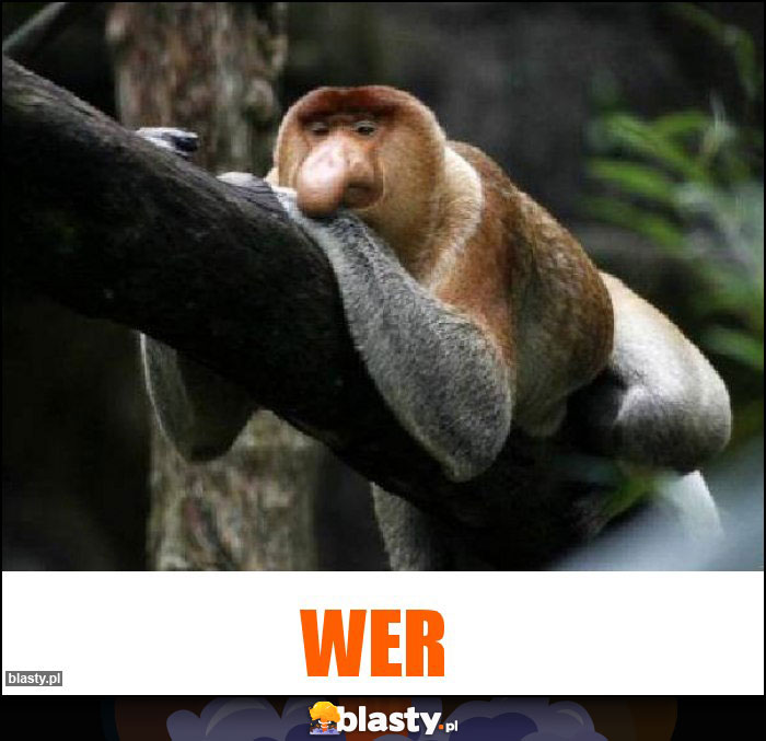 wer