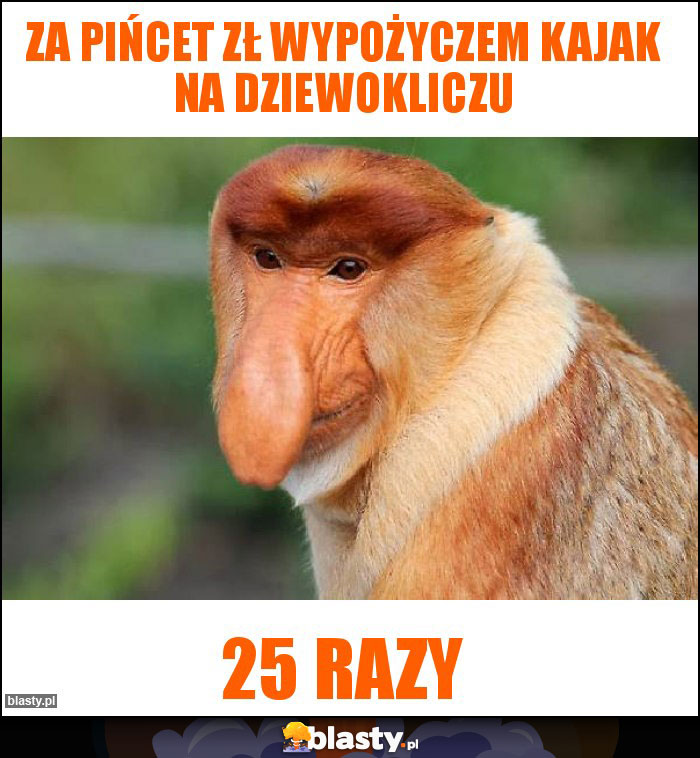 Za pińcet zł wypożyczem kajak na dziewokliczu