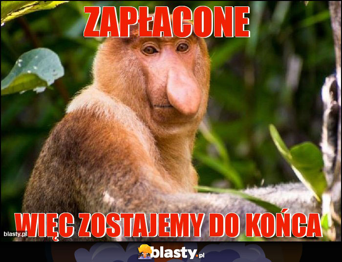 Zapłacone