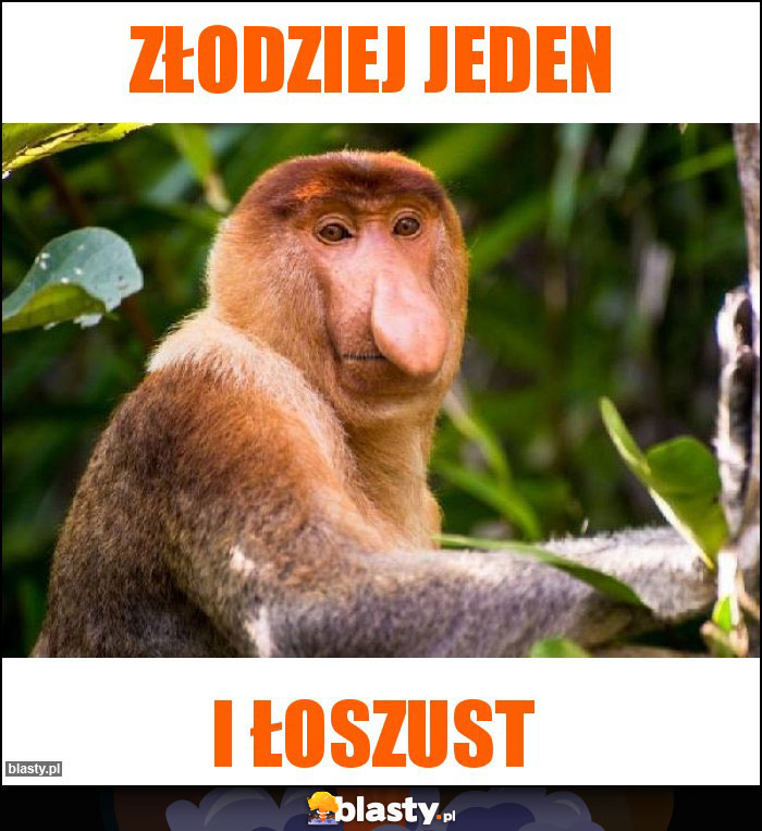 Złodziej jeden