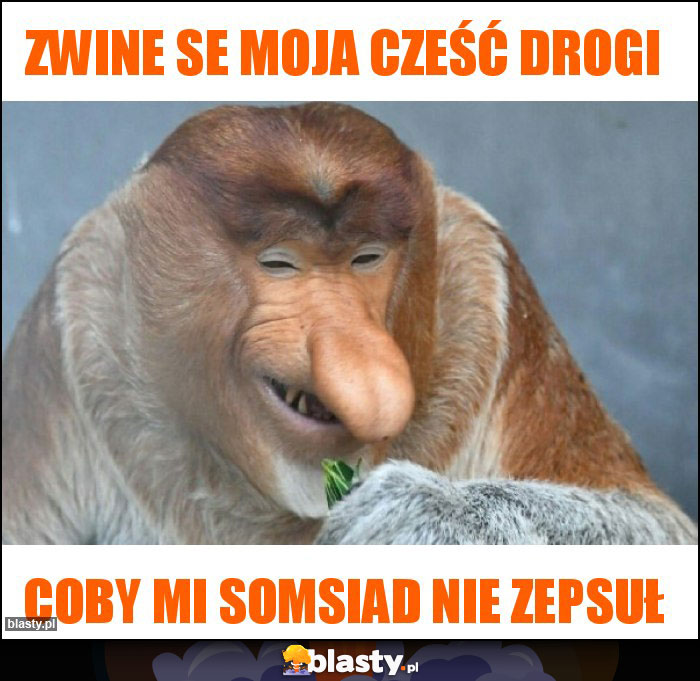 Zwine se moja cześć drogi