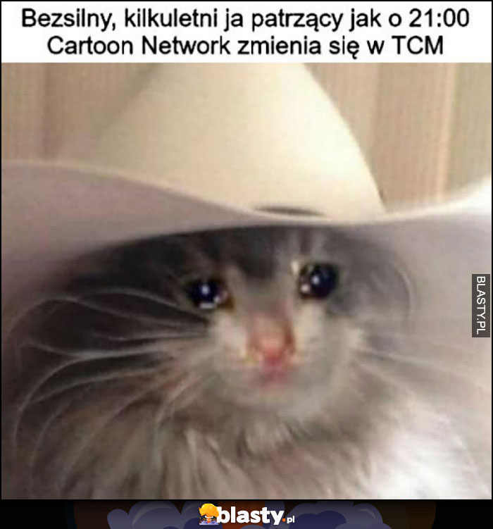 Bezsilny, kilkuletni ja patrzący jak o 21:00 Cartoon Network zmienia się w TCM kot płacze