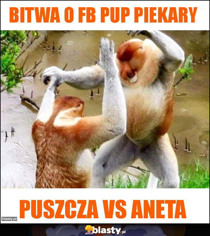 Bitwa o fb pup piekary