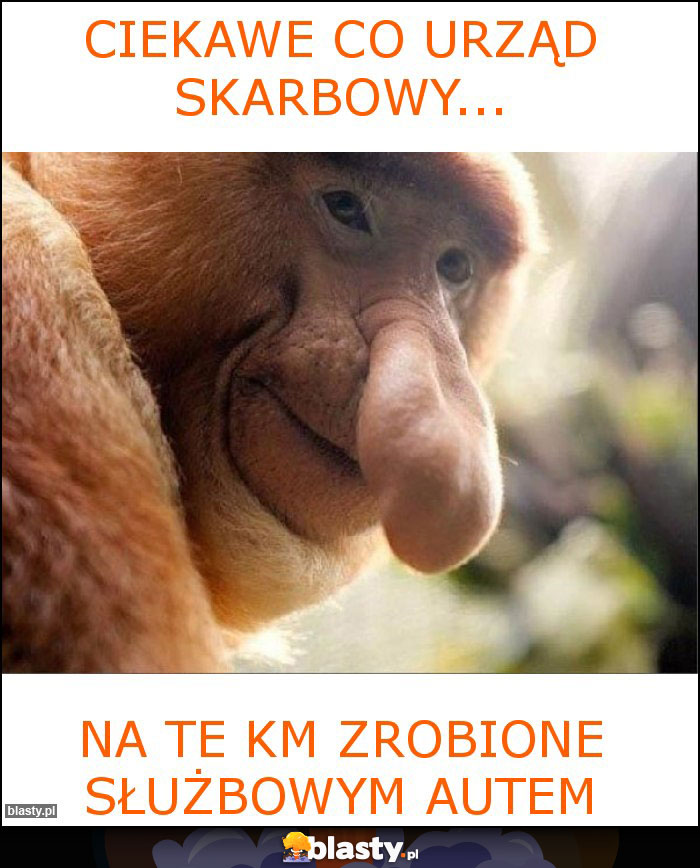 Ciekawe co urząd skarbowy...