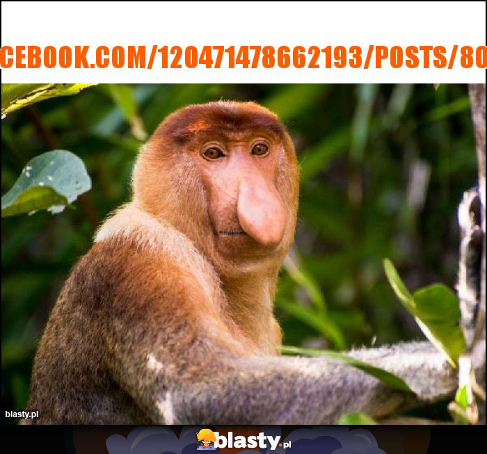 https://www.facebook.com/120471478662193/posts/809611433081524/