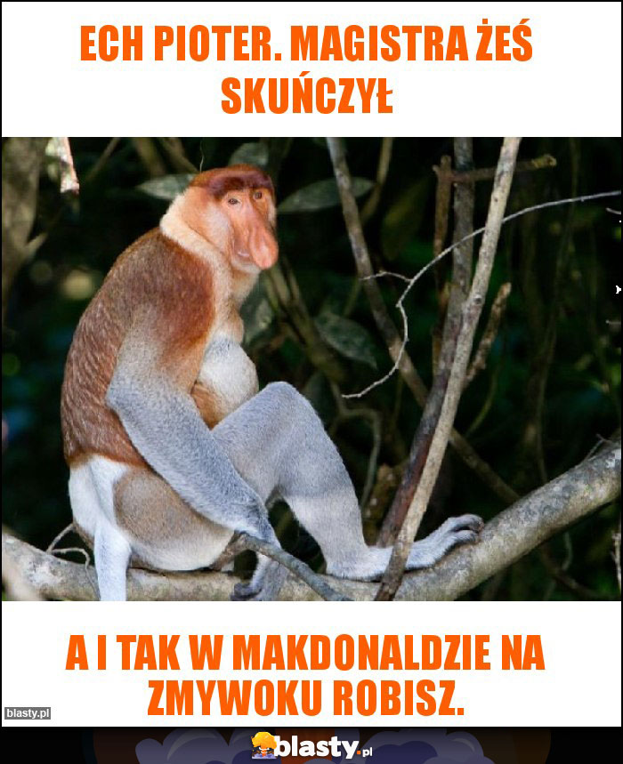 Ech pioter. magistra żeś skuńczył