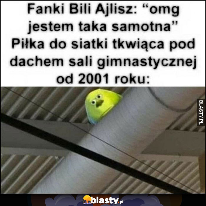 Fanki Bili Ajlisz: omg jestem taka samotna vs piłka do siatkówki tkwiąca pod dachem sali gimnastycznej od 2001 roku