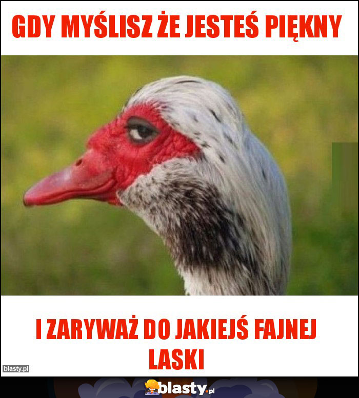 Gdy myślisz że jesteś piękny