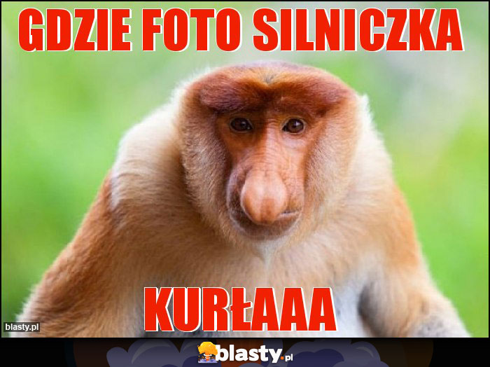 Gdzie foto silniczka
