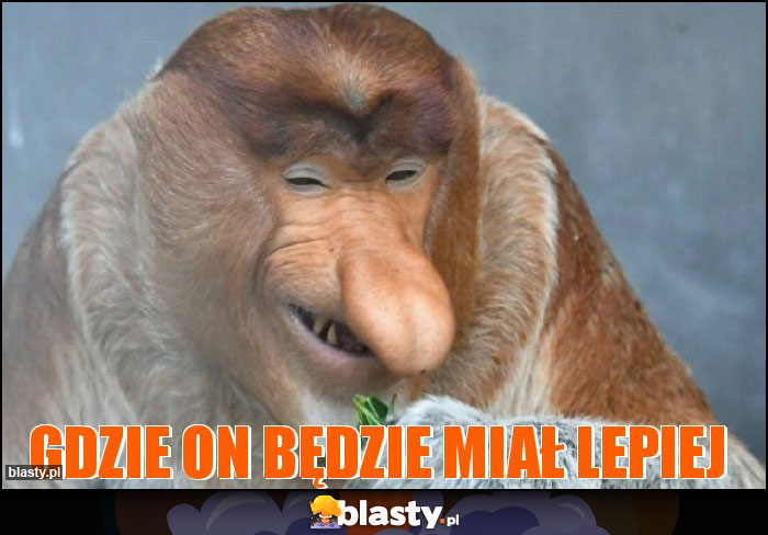 Gdzie on będzie miał lepiej