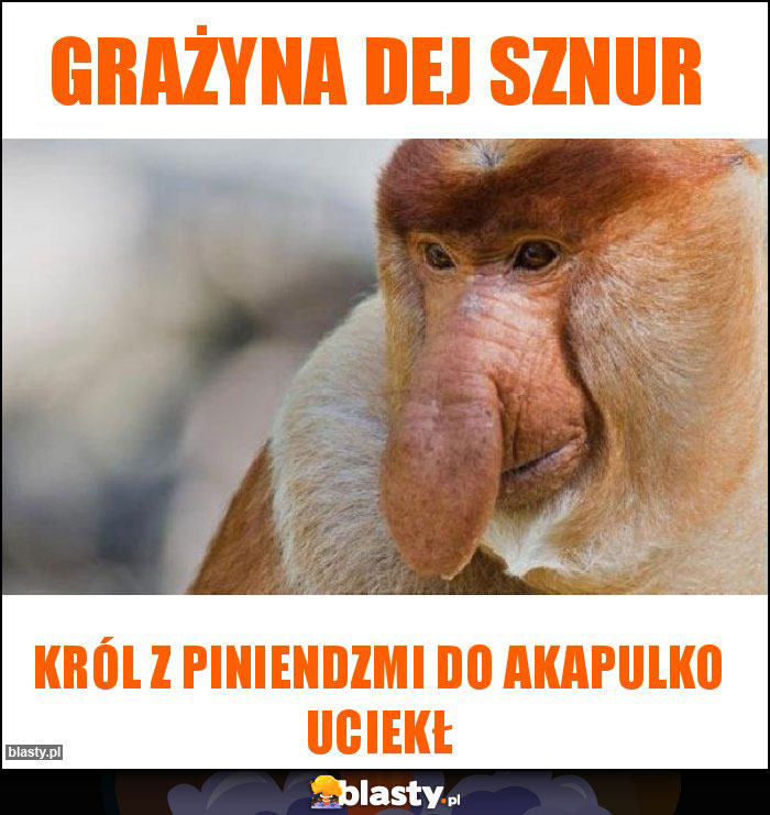 Grażyna dej sznur