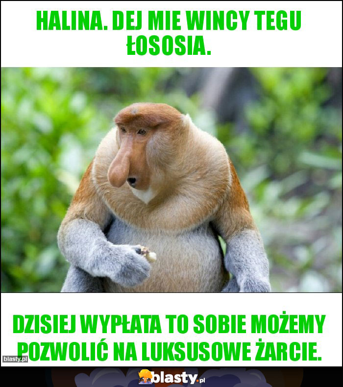 Halina. Dej mie wincy tegu łososia.
