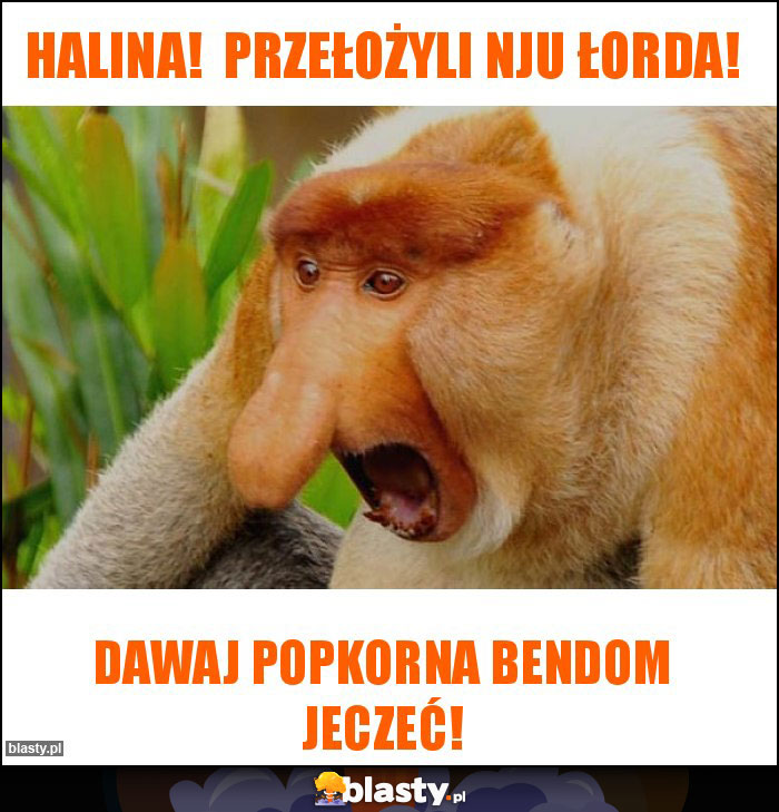 Halina!  Przełożyli nju łorda!