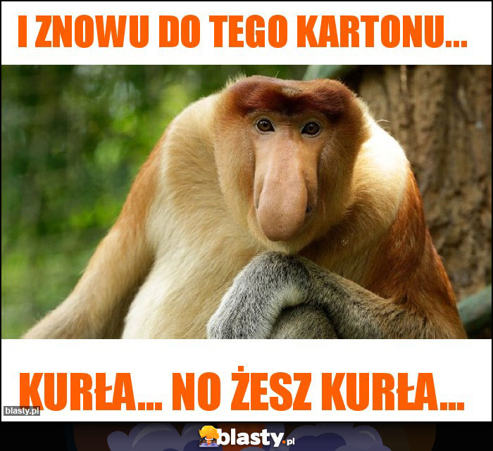 i znowu do tego kartonu...