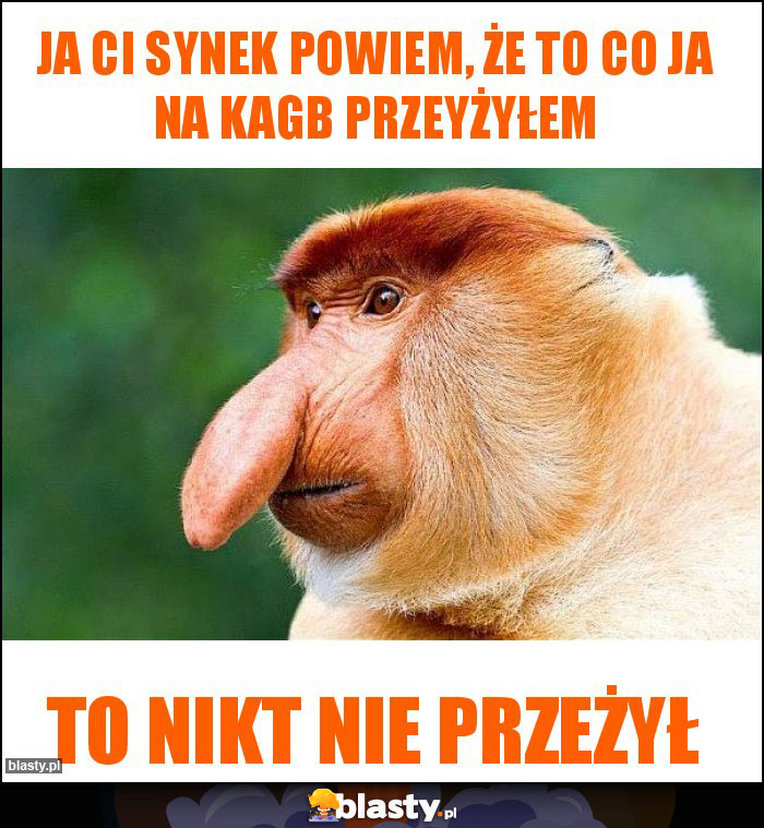JA CI SYNEK POWIEM, ŻE TO CO JA NA KAGB PRZEYŻYŁEM