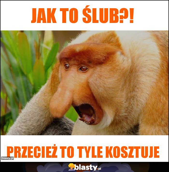 Jak to ślub?!