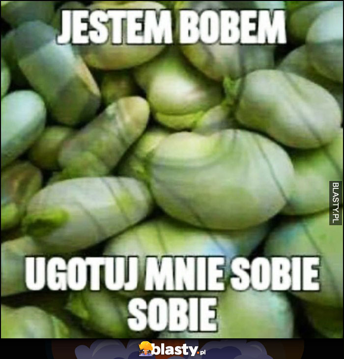 Jestem bobem ugotuj mnie sobie sobie Paktofonika Jestem bogiem