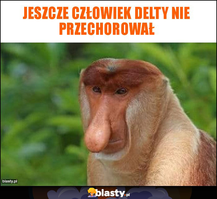 JESZCZE CZŁOWIEK DELTY NIE PRZECHOROWAŁ