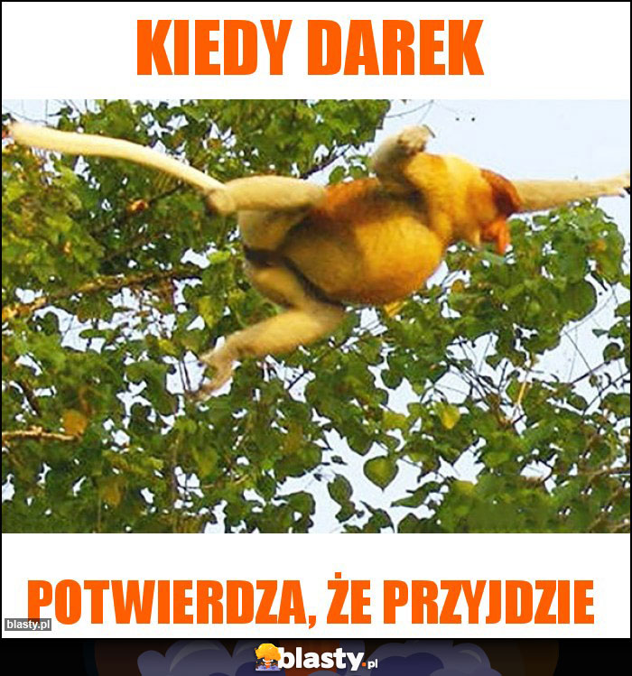 Kiedy Darek