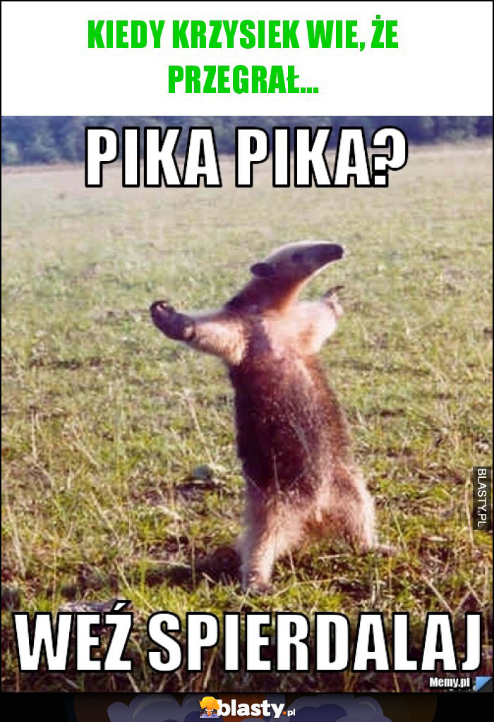 Kiedy krzysiek wie, że przegrał...