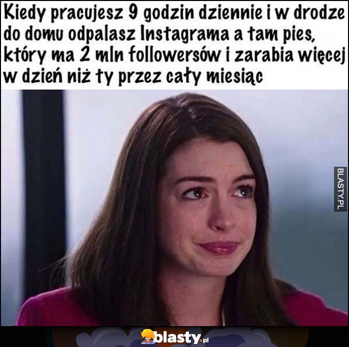 Kiedy pracujesz 9 godzin dziennie a pies na instagramie ma 2 mln followersów i zarabia w dzień więcej niż ty przez miesiąc