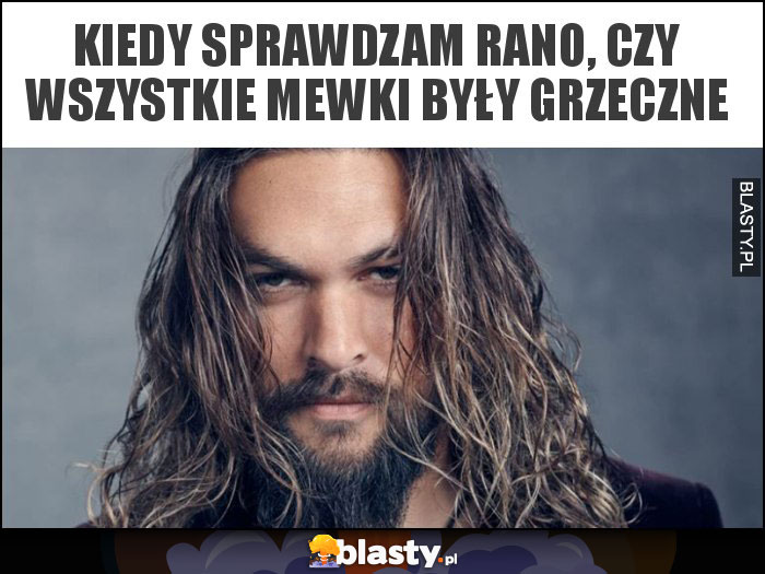 Kiedy sprawdzam rano, czy wszystkie mewki były grzeczne