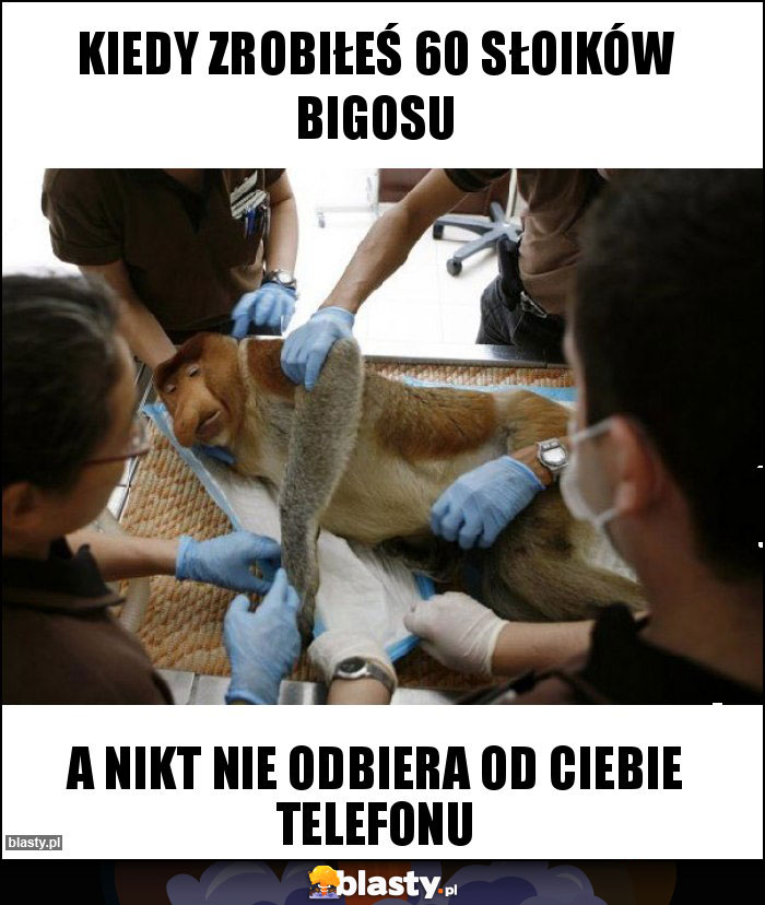 Kiedy zrobiłeś 60 słoików bigosu