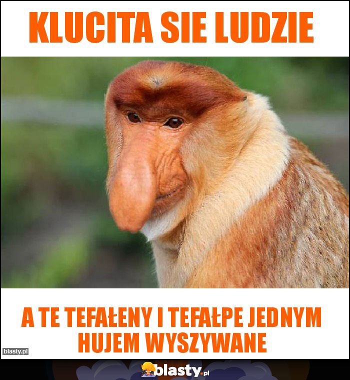 Klucita sie ludzie