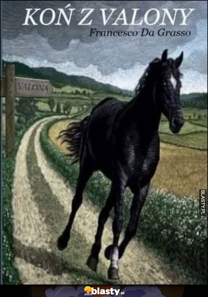 Koń z Valony książka okładka zwalony
