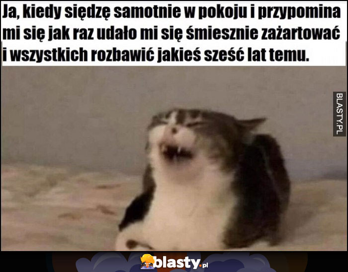 Kot ja kiedy siedzę samotnie w pokoju i przypomina mi się jak raz udało mi się śmiesznie zażartować i wszystkich rozbawić jakieś sześć lat temu