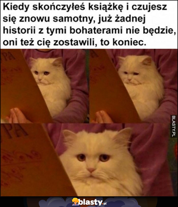 Kot kiedy skończyłeś czytać książkę i czujesz się znowu samotny to koniec