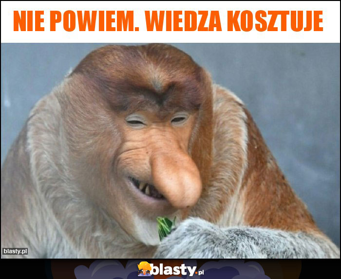 Nie powiem. Wiedza kosztuje