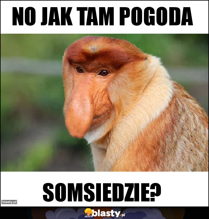 No Jak tam pogoda